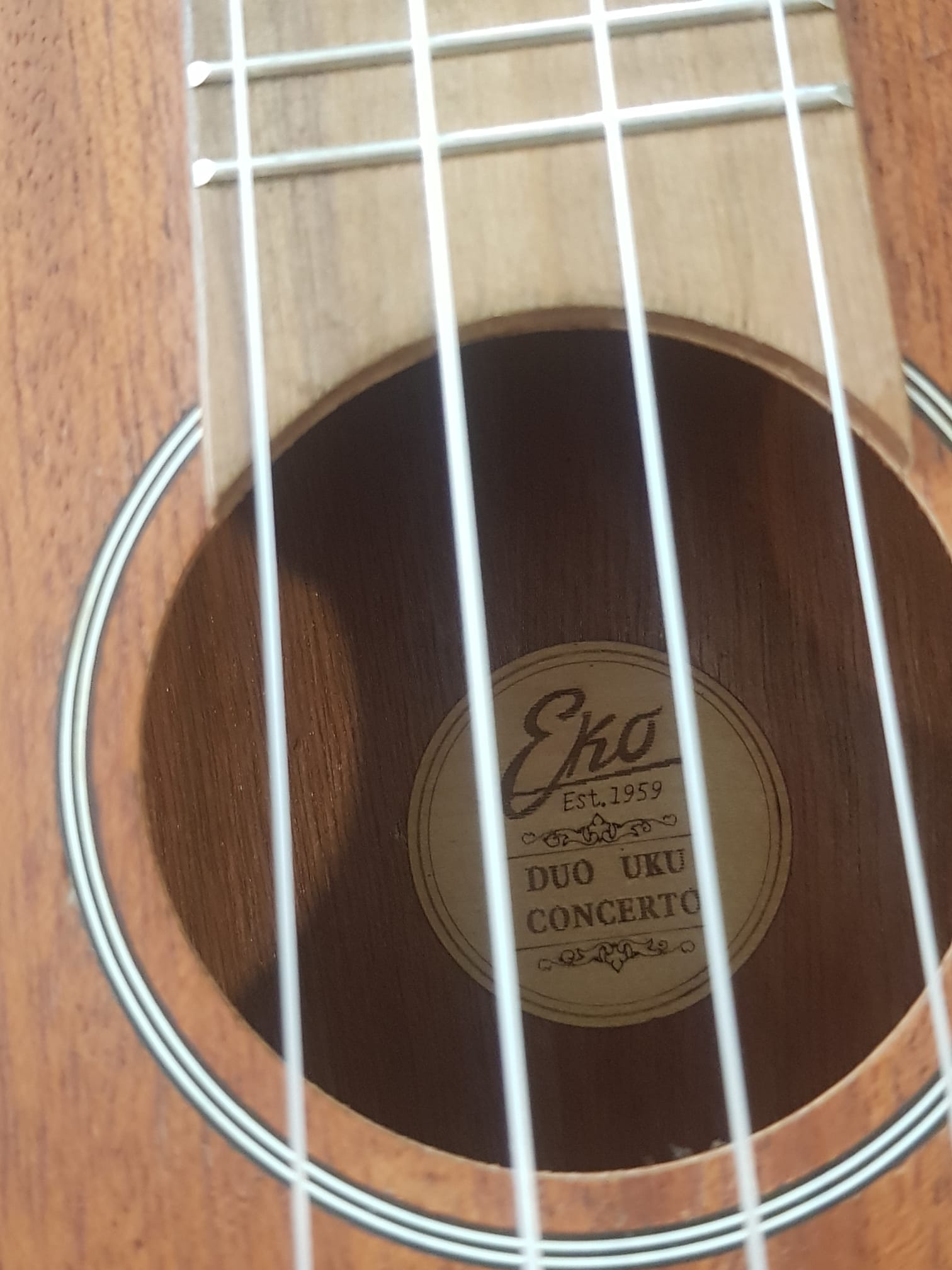 Monopolele Ukulele Concert by Eko